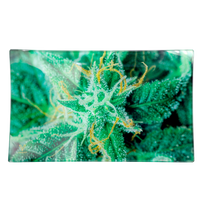 AK 47 Glass Rollin' Tray