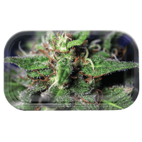 V Syndicate Rollin Trays Blue Dream Metal Rollin' Tray