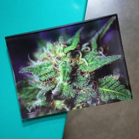 V Syndicate Glass Rollin' Tray Blue Dream Glass Rollin' Tray