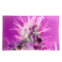 Pink Lemonade Glass Rollin' Tray