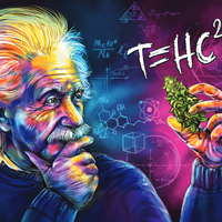 T=HC2 Classic Canvas Print