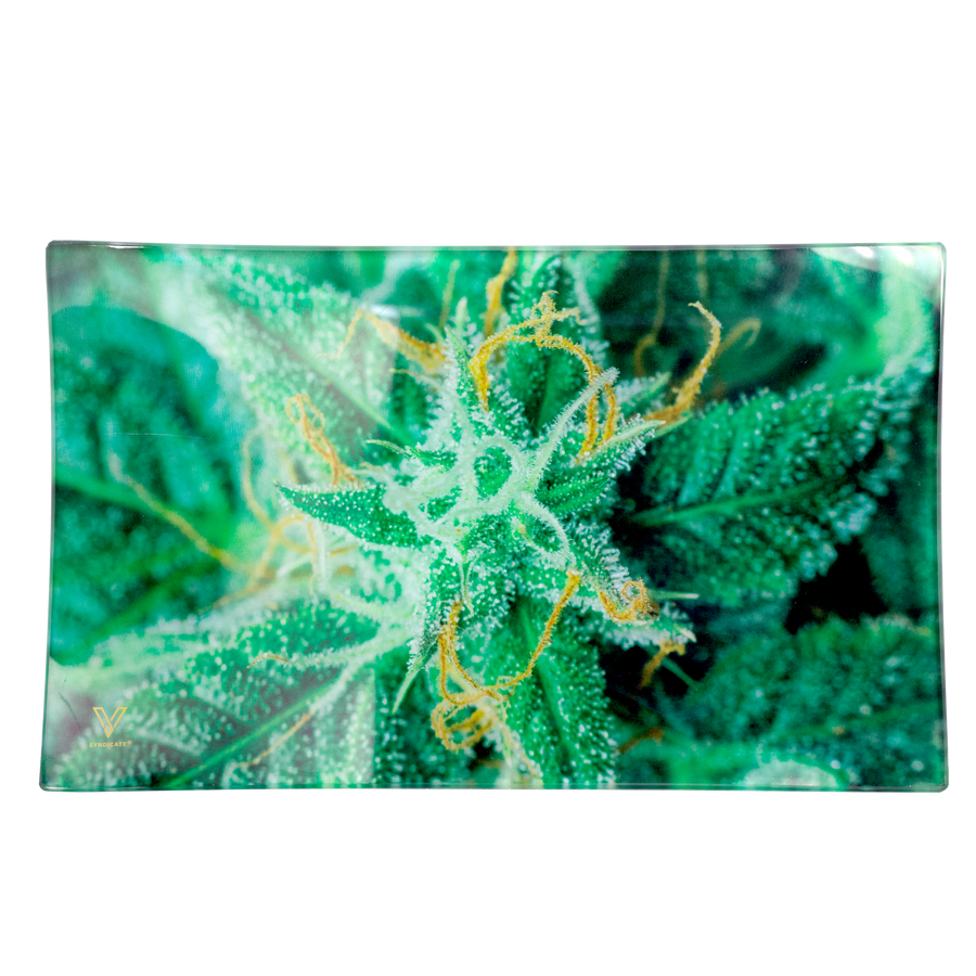 AK 47 Glass Rollin' Tray