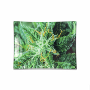 V Syndicate Glass Rollin' Tray Small AK 47 Glass Rollin' Tray