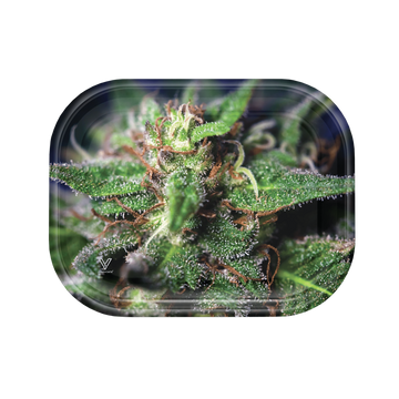 Blue Dream Metal Rollin' Tray