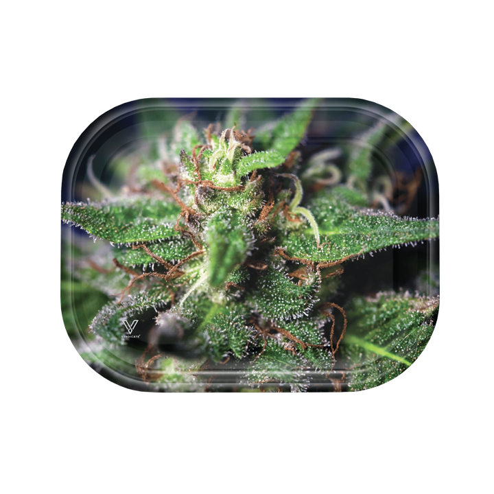 Blue Dream Metal Rollin' Tray