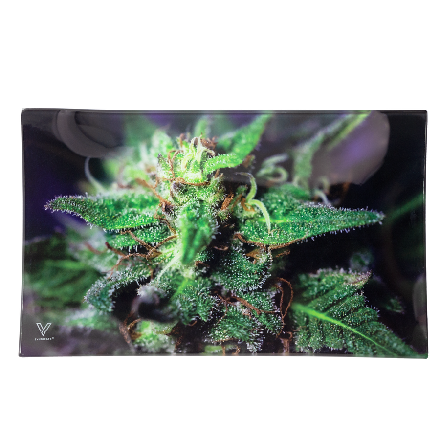Blue Dream Glass Rollin' Tray