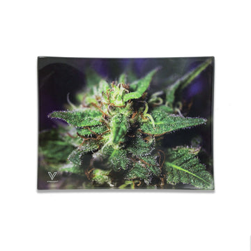 V Syndicate Glass Rollin' Tray Small Blue Dream Glass Rollin' Tray