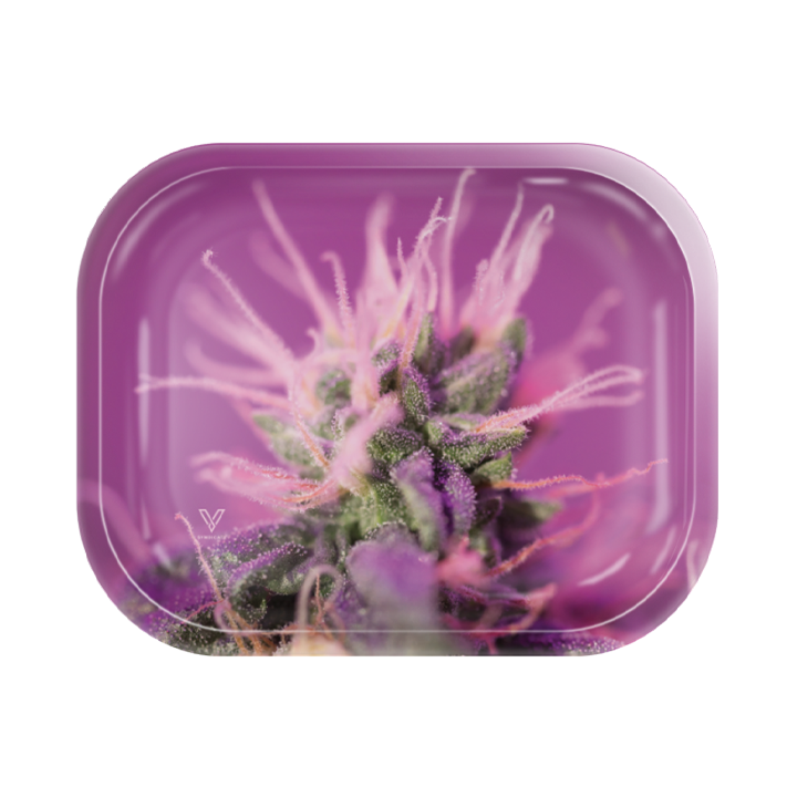 Pink Lemonade Metal Rollin' Tray