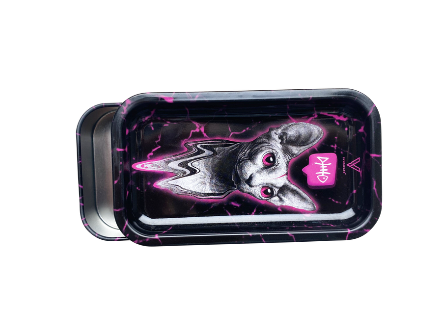 Pink Syndicase 2.0 Display (2022)